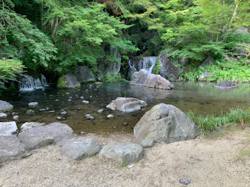 万博記念公園に投稿された画像（2026/7/19）