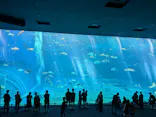 沖縄美ら海水族館に投稿された画像（2026/7/20）