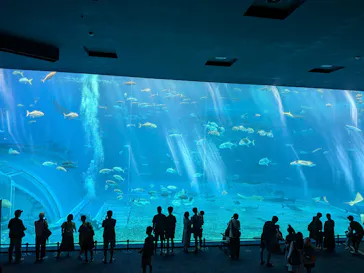 沖縄美ら海水族館に投稿された画像（2026/7/19）