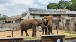 愛媛県立とべ動物園に投稿された画像（2026/7/19）