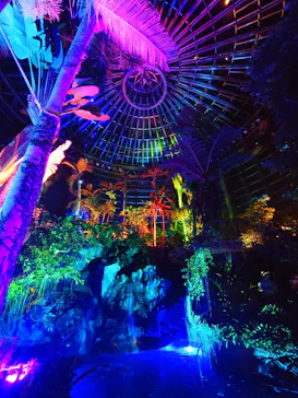 BOTANICA MUSEUMに投稿された画像（2026/7/19）