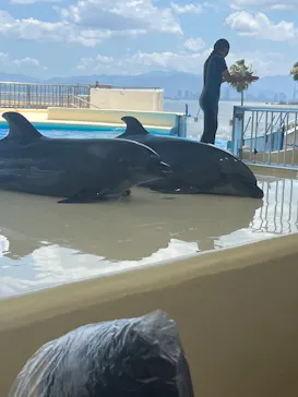 マリンワールド海の中道に投稿された画像（2026/7/19）