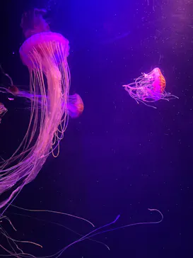 マリンワールド海の中道に投稿された画像（2026/7/19）
