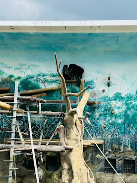 天王寺動物園に投稿された画像（2026/7/19）