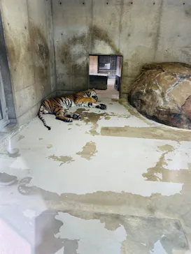 天王寺動物園に投稿された画像（2026/7/19）