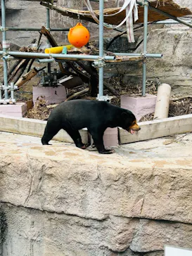 天王寺動物園に投稿された画像（2026/7/19）