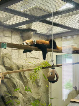 天王寺動物園に投稿された画像（2026/7/19）