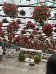 掛川花鳥園に投稿された画像（2026/7/19）