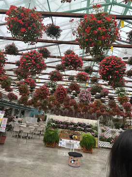 掛川花鳥園に投稿された画像（2026/7/19）
