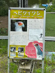掛川花鳥園に投稿された画像（2026/7/19）