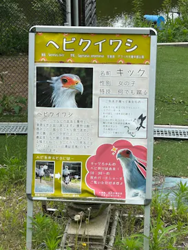 掛川花鳥園に投稿された画像（2026/7/19）
