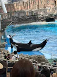 名古屋港水族館に投稿された画像（2026/7/20）