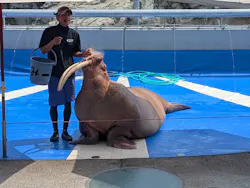 大分マリーンパレス水族館 「うみたまご」に投稿された画像（2026/7/20）