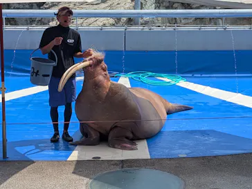 大分マリーンパレス水族館 「うみたまご」に投稿された画像（2026/7/20）