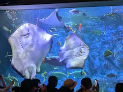 大分マリーンパレス水族館 「うみたまご」に投稿された画像（2026/7/20）