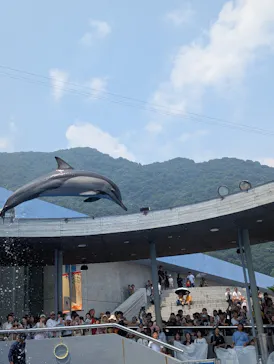 大分マリーンパレス水族館 「うみたまご」に投稿された画像（2026/7/20）