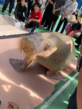 ゼロ距離水族館 伊勢シーパラダイスに投稿された画像（2026/7/20）