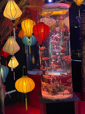 UWS AQUARIUM GA☆KYOに投稿された画像（2026/7/20）