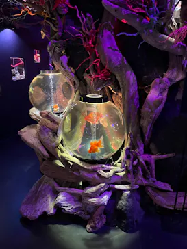 UWS AQUARIUM GA☆KYOに投稿された画像（2026/7/20）