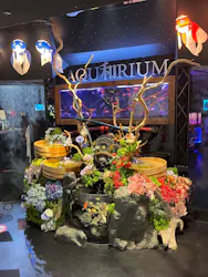 UWS AQUARIUM GA☆KYOに投稿された画像（2026/7/20）