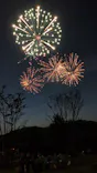 ムーミンバレーパークに投稿された画像（2026/7/20）