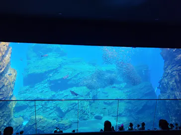 仙台うみの杜水族館に投稿された画像（2026/7/20）