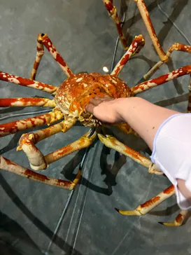 すさみ町立エビとカニの水族館に投稿された画像（2026/7/20）