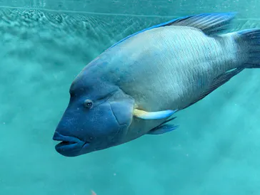 葛西臨海水族園に投稿された画像（2026/7/20）