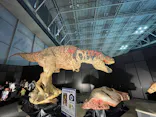ヨコハマ恐竜展２０２６～恐竜の食卓大図鑑～に投稿された画像（2026/7/20）