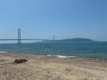 BeachHouse Gerageraに投稿された画像（2026/7/20）