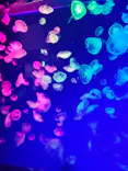 名古屋港水族館に投稿された画像（2026/7/20）