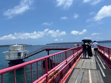 串本海中公園水族館に投稿された画像（2026/7/20）