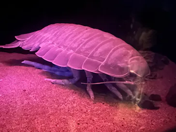 名古屋港水族館に投稿された画像（2026/7/20）