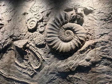名古屋港水族館に投稿された画像（2026/7/20）