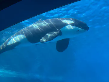 名古屋港水族館に投稿された画像（2026/7/20）