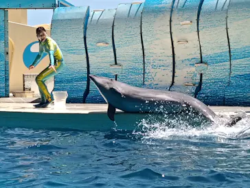 新江ノ島水族館に投稿された画像（2026/7/20）