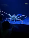 サンシャイン水族館に投稿された画像（2026/7/20）