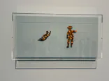 ピカソ meets ポール・スミス　遊び心の冒険へに投稿された画像（2026/7/20）