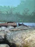 世界淡水魚園水族館　アクア・トトぎふに投稿された画像（2026/7/20）