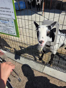 あらかわ遊園に投稿された画像（2026/7/20）