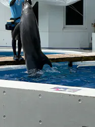 九十九島パールシーリゾートに投稿された画像（2026/7/20）