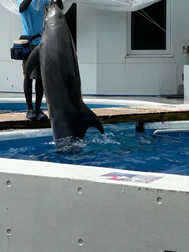 九十九島パールシーリゾートに投稿された画像（2026/7/20）