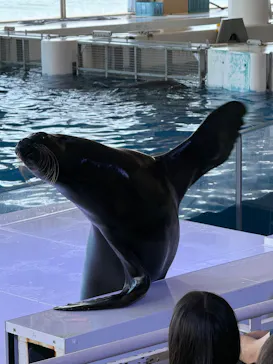 アクアワールド茨城県大洗水族館に投稿された画像（2026/7/20）