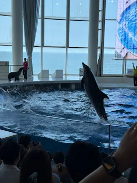 アクアワールド茨城県大洗水族館に投稿された画像（2026/7/20）