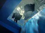 滋賀県立琵琶湖博物館に投稿された画像（2026/7/20）