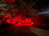 体験王国 むら咲むらに投稿された画像（2026/7/20）