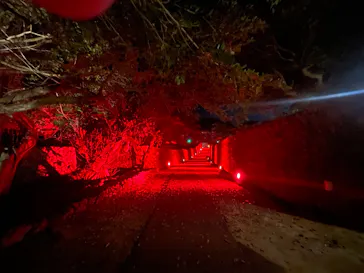 体験王国 むら咲むらに投稿された画像（2026/7/20）