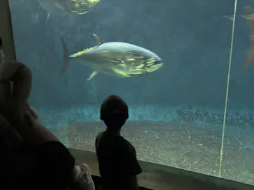 葛西臨海水族園に投稿された画像（2026/7/20）