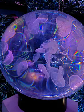 ひらかたパークに投稿された画像（2026/7/20）