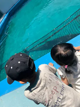 ゼロ距離水族館 伊勢シーパラダイスに投稿された画像（2026/7/20）